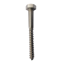 HEXAGON LAG SCREW (PZ)